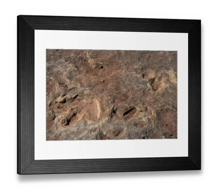 Framed Print : Dinosaur footprints Framed Print : Dinosaur footprints
