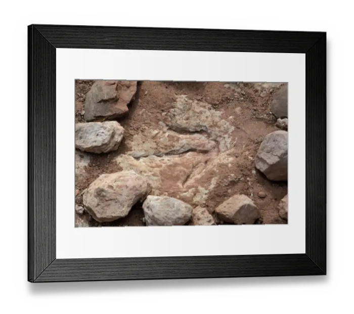 Framed Print : Dinosaur footprint Framed Print : Dinosaur footprint