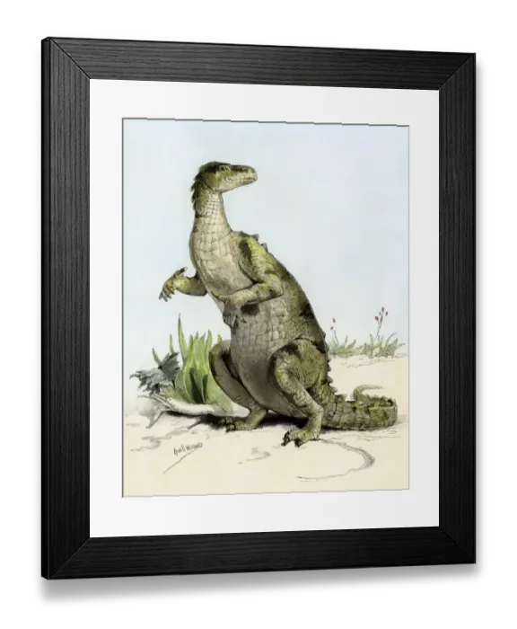 Framed Print : Iguanodon, a large herbivorous dinosaur of the early Cretaceous period Framed Print : Iguanodon, a large herbivorous dinosaur of the early Cretaceous period