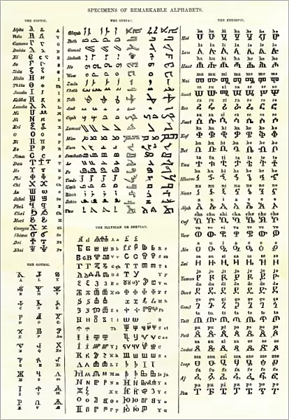 Chart of some early alphabets