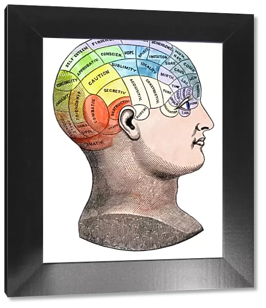 Phrenological model of personality traits