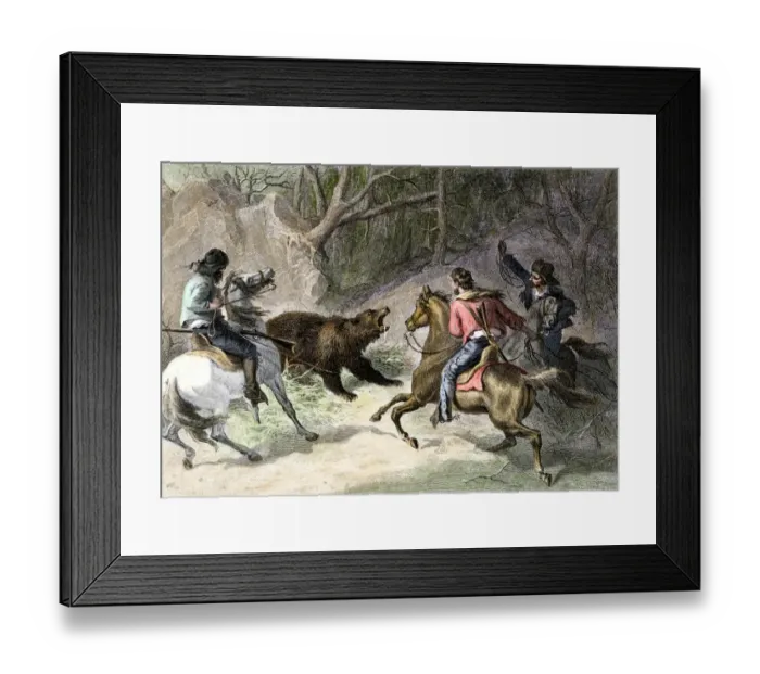 Framed Print : Roping a bear in California, 1800s Framed Print : Roping a bear in California, 1800s