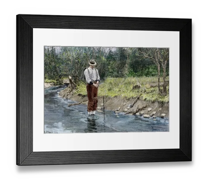 Framed Print : Woodsman setting a beaver trap in a stream Framed Print : Woodsman setting a beaver trap in a stream