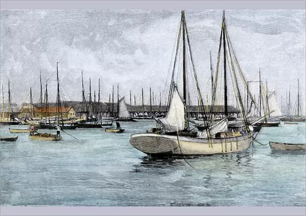 Key West fishing fleet, 1890s