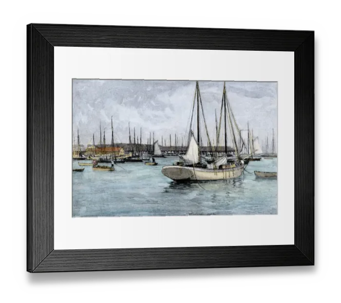 Framed Print : Key West fishing fleet, 1890s Framed Print : Key West fishing fleet, 1890s