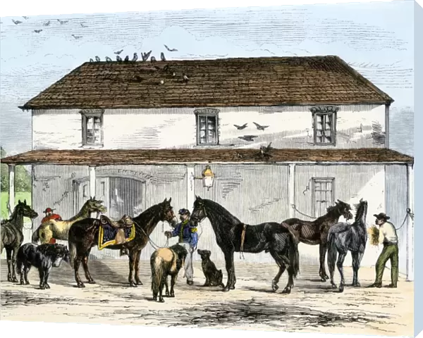 Stable behind the White House, 1869