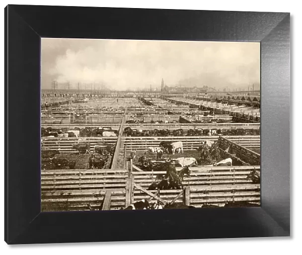 Union Stockyards, Chicago, 1890s