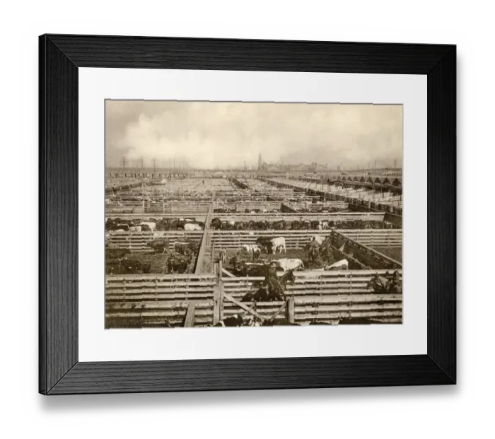 Framed Print : Union Stockyards, Chicago, 1890s Framed Print : Union Stockyards, Chicago, 1890s