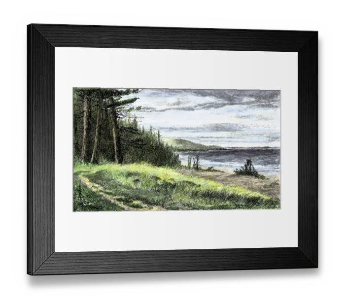 Framed Print : Cape Cod wilderness as the Pilgrims found it Framed Print : Cape Cod wilderness as the Pilgrims found it
