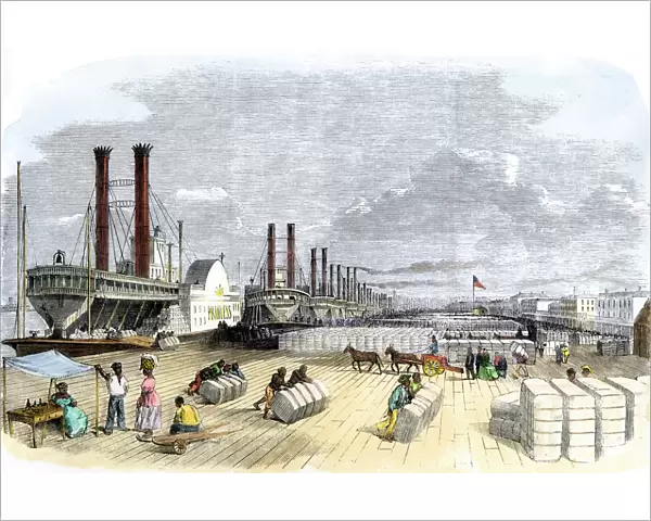 Cotton loaded on steamboats by black slaves, New Orleans