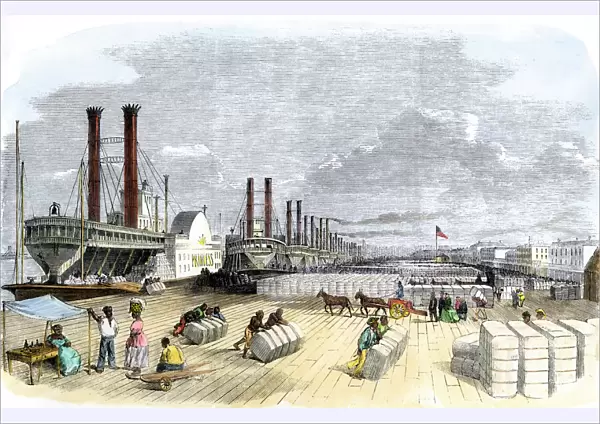 Cotton loaded on steamboats by black slaves, New Orleans