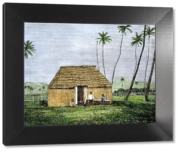 Traditional Hawaiian home, 1800s