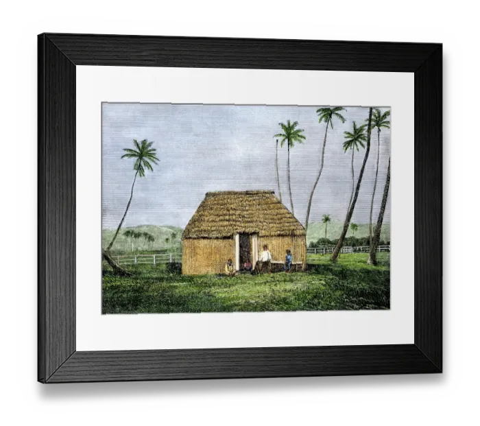 Framed Print : Traditional Hawaiian home, 1800s Framed Print : Traditional Hawaiian home, 1800s