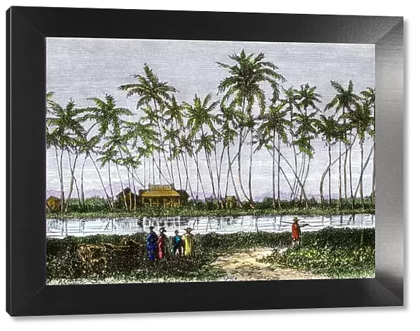 Waikiki village, Hawaii, 1870s