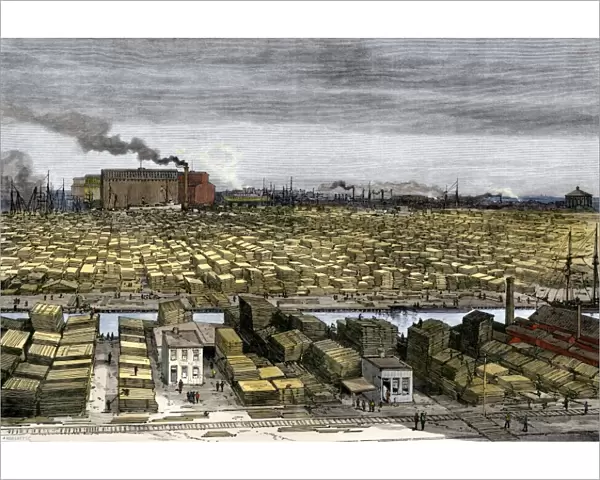 Chicago lumber wharves, 1880s
