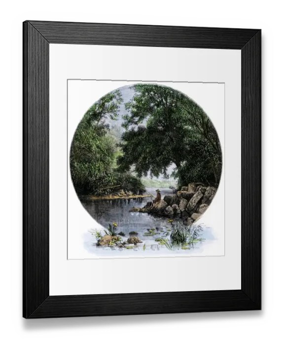 Framed Print : Rock Creek in Washington DC, 1800s Framed Print : Rock Creek in Washington DC, 1800s