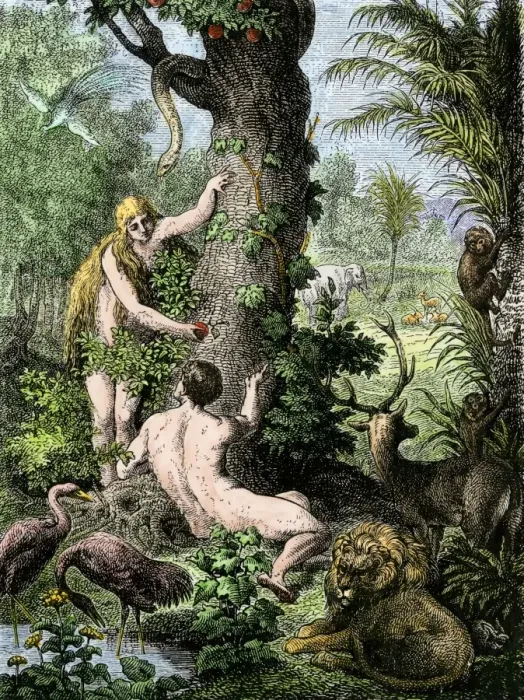 Framed Print : Adam and Eve in the Garden of Eden