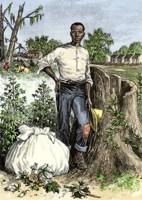 Framed Print : African-American slave with bag of picked cotton Framed Print : African-American slave with bag of picked cotton