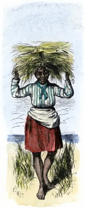Framed Print : African-American woman carrying sheaves on a rice plantation