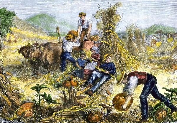 AGRI2A-00001. American farm family gathering pumpkins and husking maize, 1800s.