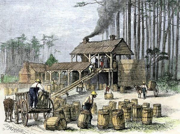 AGRI2A-00046. A turpentine distillery in North Carolina, 1870s.