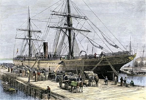 AGRI2A-00053. African-American stevedores loading cotton on a ship in Charlestown