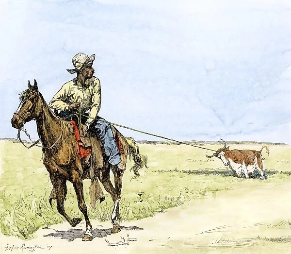 AGRI2A-00061. African-American cowboy pulling a longhorn out of the mud.