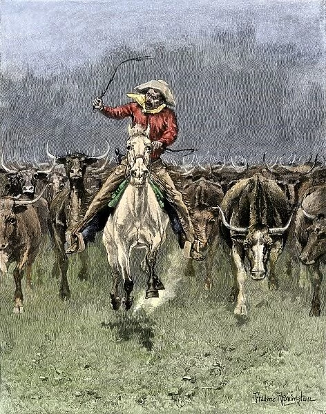 AGRI2A-00113. Cowboy and his horse caught in a cattle stampede, 1800s.