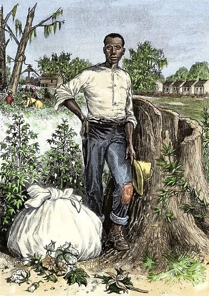 AGRI2A-00115. African-American slave with bag of picked cotton, US South, 1800s.