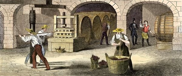 AGRI2A-00118. Wine-press in Longworth's wine-cellars, Ohio, 1850s.