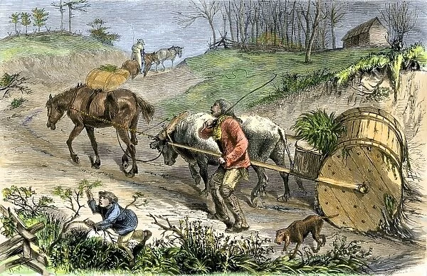 AGRI2A-00131. Bringing tobacco to market in early Virginia.