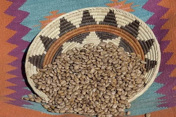 AGRI2D-00020. Dried beans in a Native American basket.. Digital photograph
