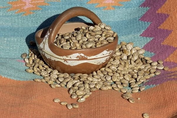 AGRI2D-00021. Dried beans in a Pueblo Indian pot.. Digital photograph
