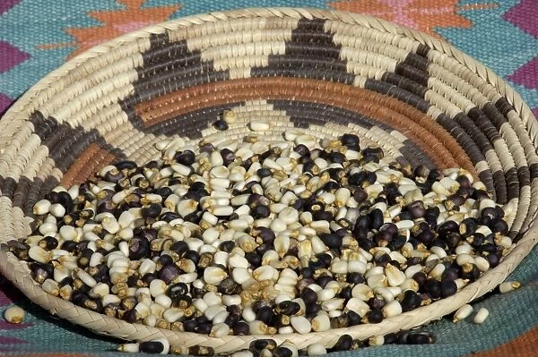 AGRI2D-00029. Posole - Pueblo Indian dried corn - in a Native American basket.