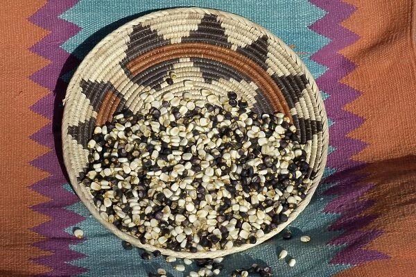 AGRI2D-00030. Posole - Pueblo Indian dried corn - in a Native American basket.