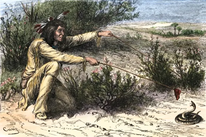 Framed Print : Apache hunter procuring poison for his arrows by causing a rattlesnake to bite Framed Print : Apache hunter procuring poison for his arrows by causing a rattlesnake to bite