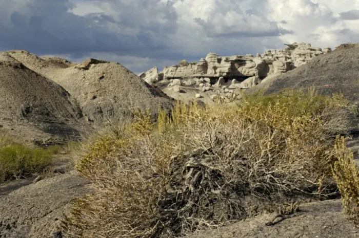 Framed Print : Bisti Badlands, New Mexico Framed Print : Bisti Badlands, New Mexico