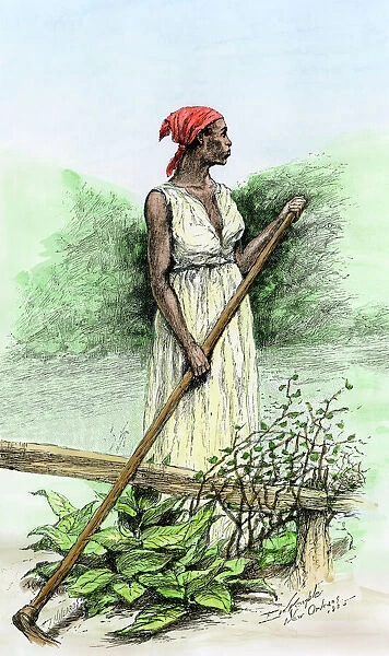 Black slave on a sugar plantation