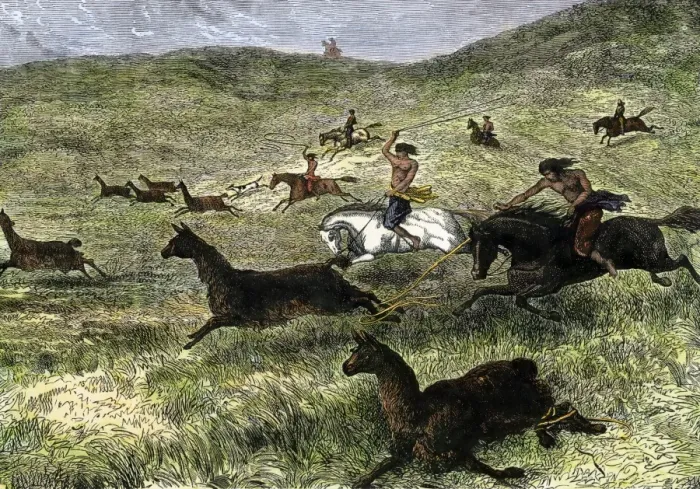 Framed Print : Bola used for hunting in Argentina Framed Print : Bola used for hunting in Argentina