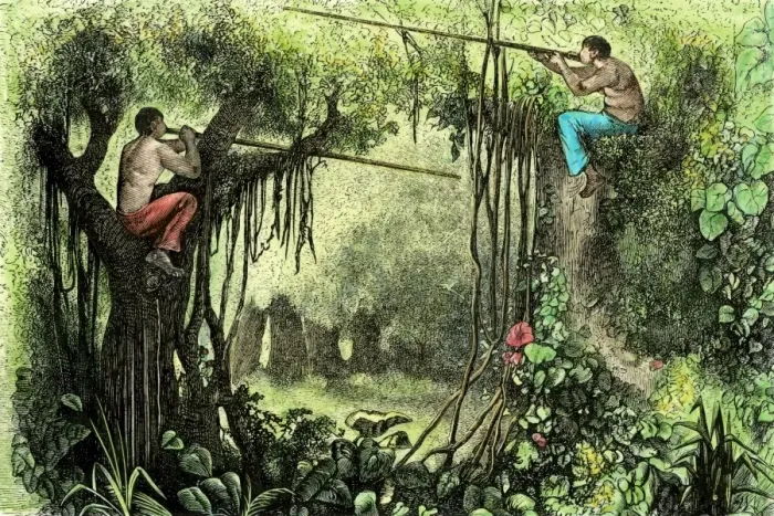 Framed Print : Brazilian natives hunting with poison blow-guns Framed Print : Brazilian natives hunting with poison blow-guns