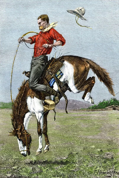 Bucking bronco. Cowboy riding a bucking horse.
