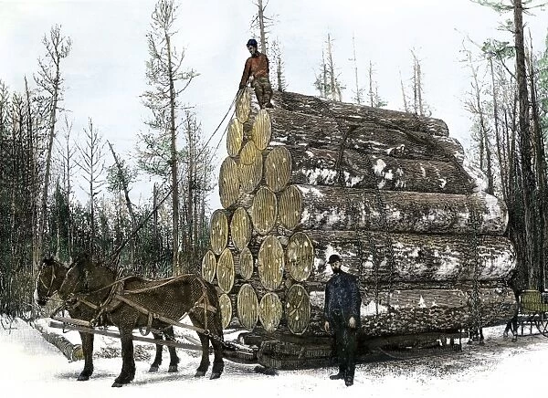 BUSN2A-00156. A big load of logs on a skidder in Michigan, 1880s.