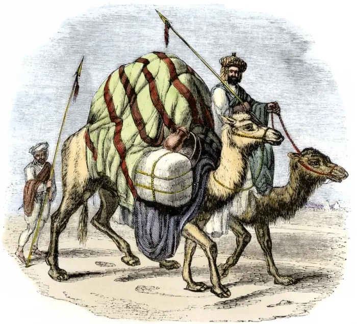 Framed Print : Camel caravan loaded with goods Framed Print : Camel caravan loaded with goods