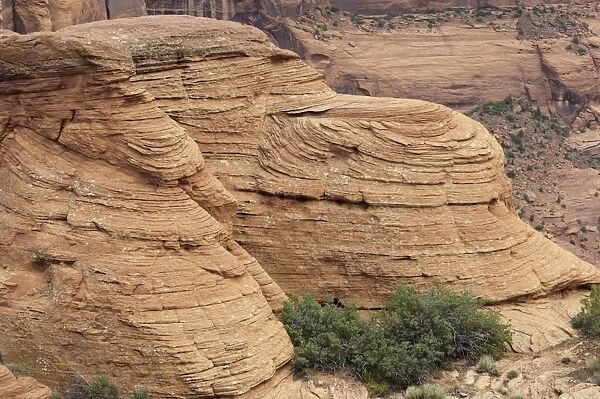 Canyon de Chelly sandstone, Arizona