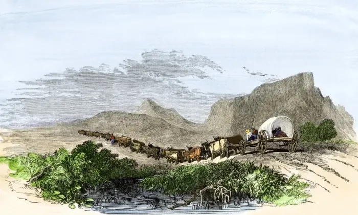 Framed Print : Cape of Good Hope wagon drawn by oxen Framed Print : Cape of Good Hope wagon drawn by oxen