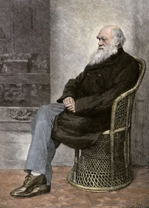 Framed Print : Charles Darwin seated in a wicker chair Framed Print : Charles Darwin seated in a wicker chair