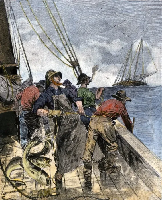 Framed Print : Cod fishing with hand lines, 1800s Framed Print : Cod fishing with hand lines, 1800s