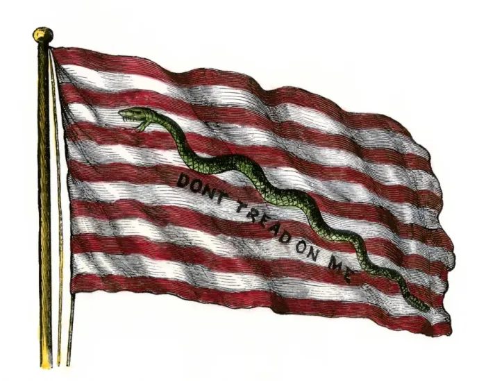 Framed Print : Colonists Rattlesnake Flag with Don t Tread on Me slogan Framed Print : Colonists Rattlesnake Flag with Don t Tread on Me slogan