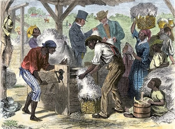Cotton gin in use by African-American slaves in the South