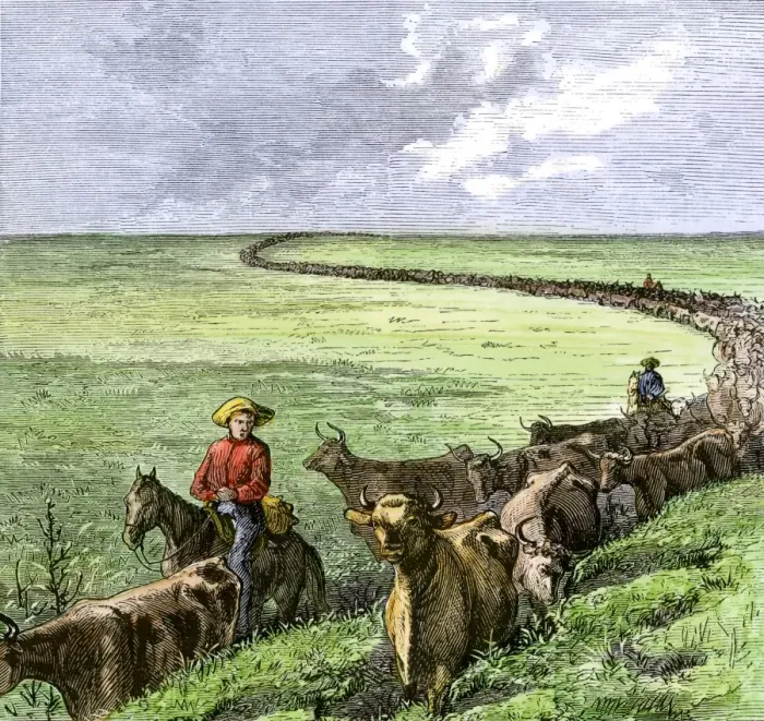 Framed Print : Cowboys driving a cattle herd from Texas to Kansas on the Chilsholm Trail 1870s Framed Print : Cowboys driving a cattle herd from Texas to Kansas on the Chilsholm Trail 1870s